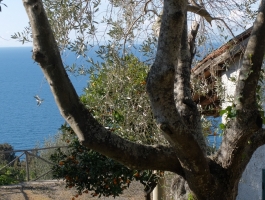 Villa con vista spettacolare